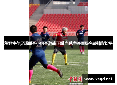 荒野生存足球联赛小组赛激战正酣 各队争夺晋级名额精彩纷呈